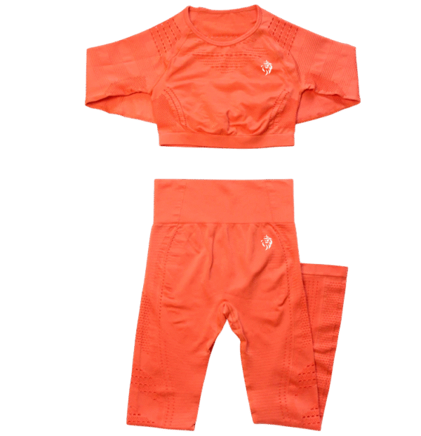 Ensemble seamless “Flamme” LionzFit